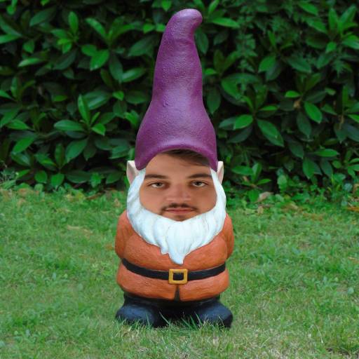 nick_gnome.jpg