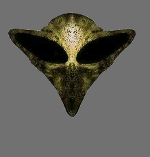 mantis-head.jpg